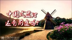 中國(guó)式監(jiān)理，還有前途嗎？